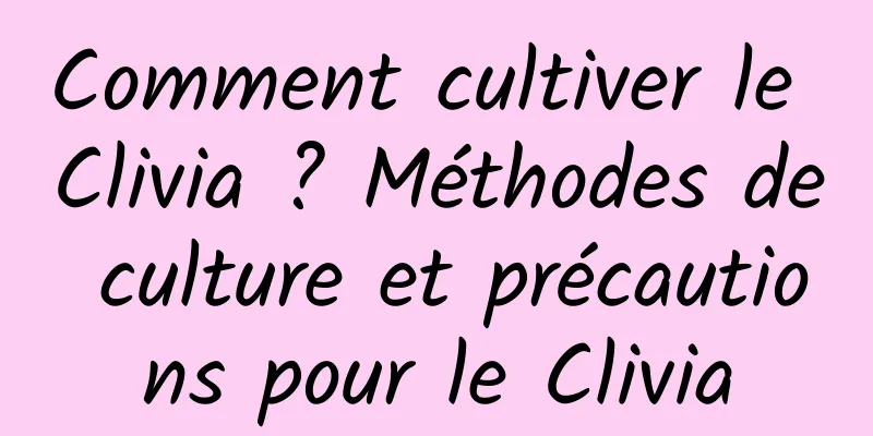 Comment cultiver le Clivia ? Méthodes de culture et précautions pour le Clivia