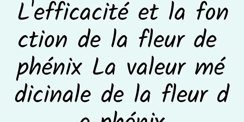 L'efficacité et la fonction de la fleur de phénix La valeur médicinale de la fleur de phénix