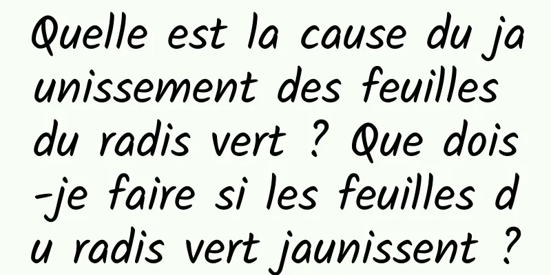 Quelle est la cause du jaunissement des feuilles du radis vert ? Que dois-je faire si les feuilles du radis vert jaunissent ?