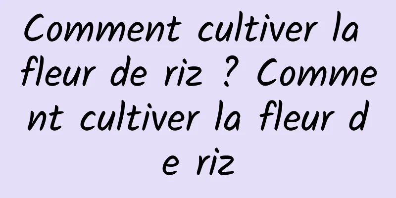 Comment cultiver la fleur de riz ? Comment cultiver la fleur de riz