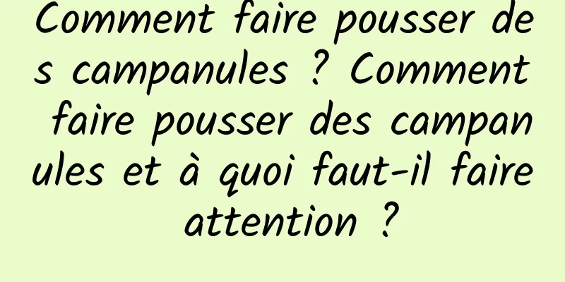 Comment faire pousser des campanules ? Comment faire pousser des campanules et à quoi faut-il faire attention ?