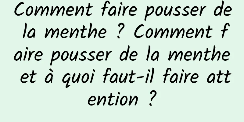 Comment faire pousser de la menthe ? Comment faire pousser de la menthe et à quoi faut-il faire attention ?