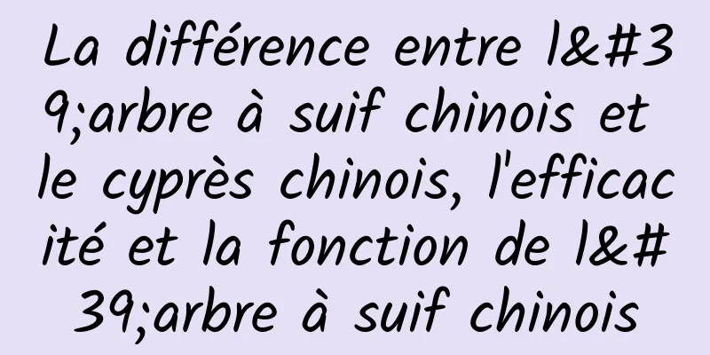 La différence entre l'arbre à suif chinois et le cyprès chinois, l'efficacité et la fonction de l'arbre à suif chinois