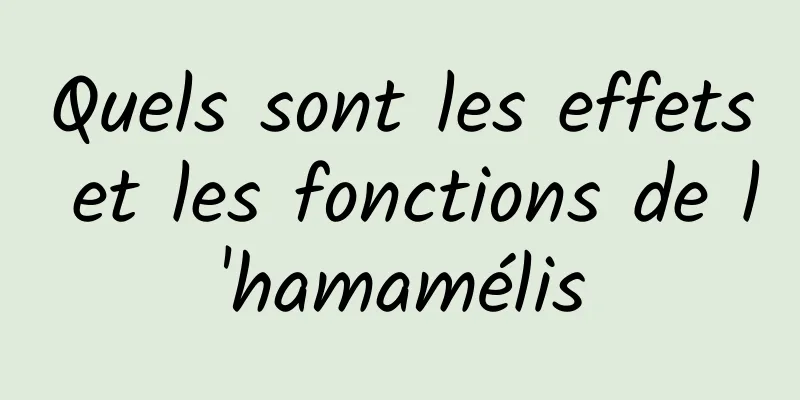 Quels sont les effets et les fonctions de l'hamamélis