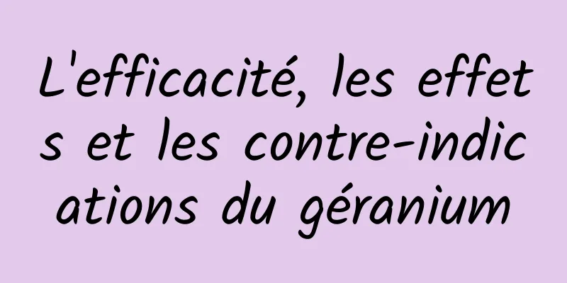 L'efficacité, les effets et les contre-indications du géranium