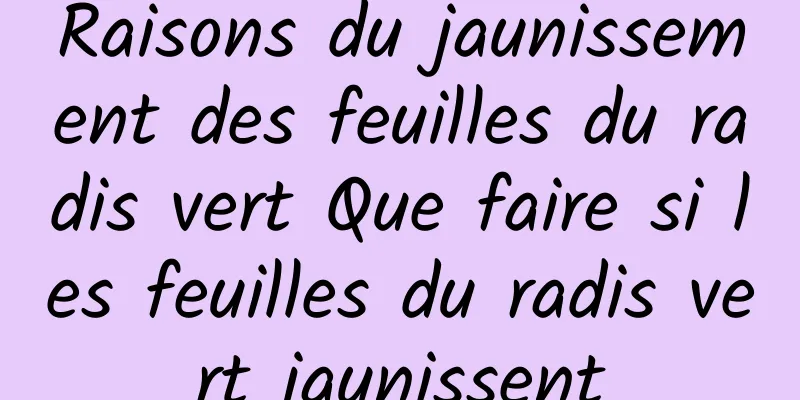 Raisons du jaunissement des feuilles du radis vert Que faire si les feuilles du radis vert jaunissent