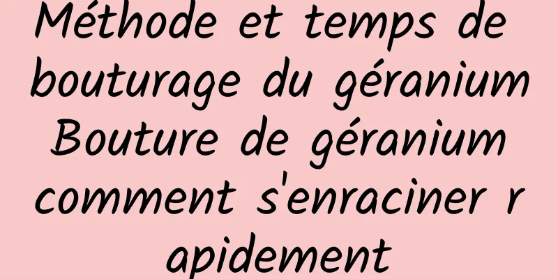 Méthode et temps de bouturage du géranium Bouture de géranium comment s'enraciner rapidement