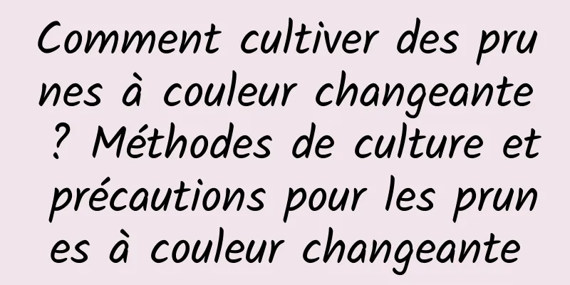 Comment cultiver des prunes à couleur changeante ? Méthodes de culture et précautions pour les prunes à couleur changeante