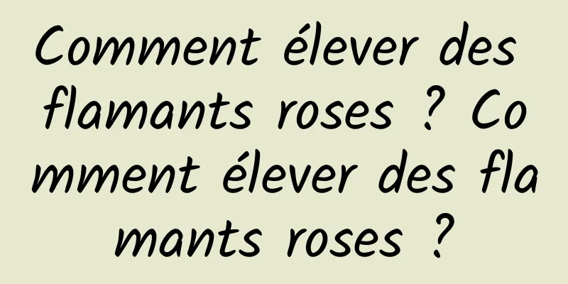 Comment élever des flamants roses ? Comment élever des flamants roses ?