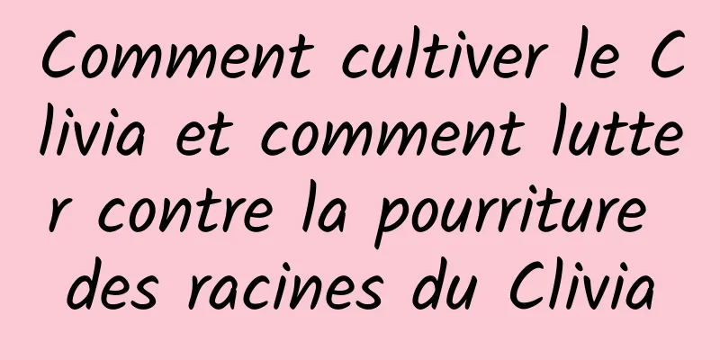 Comment cultiver le Clivia et comment lutter contre la pourriture des racines du Clivia