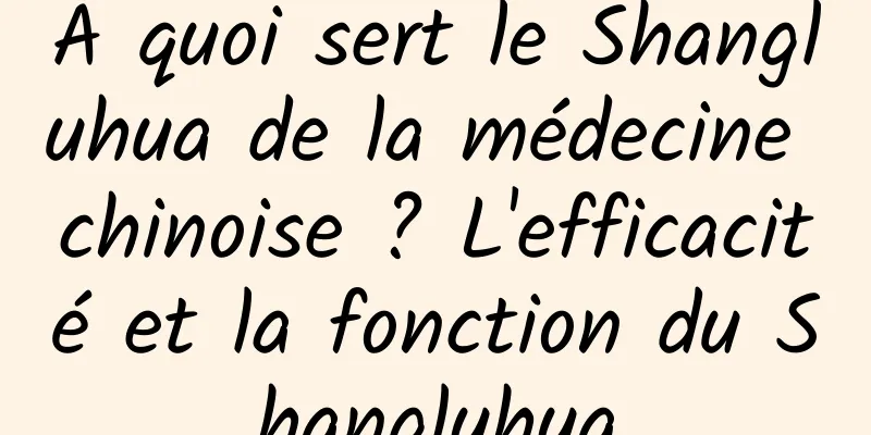 À quoi sert le Shangluhua de la médecine chinoise ? L'efficacité et la fonction du Shangluhua