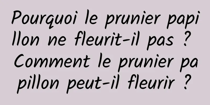 Pourquoi le prunier papillon ne fleurit-il pas ? Comment le prunier papillon peut-il fleurir ?