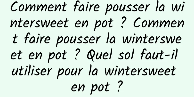 Comment faire pousser la wintersweet en pot ? Comment faire pousser la wintersweet en pot ? Quel sol faut-il utiliser pour la wintersweet en pot ?