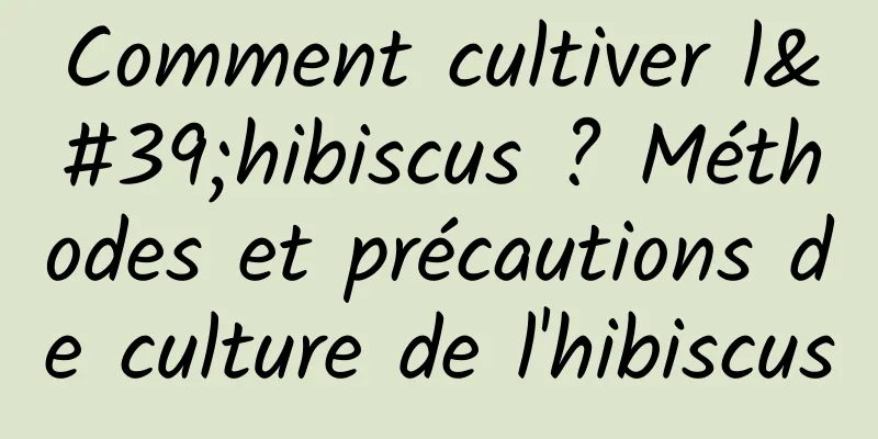 Comment cultiver l'hibiscus ? Méthodes et précautions de culture de l'hibiscus