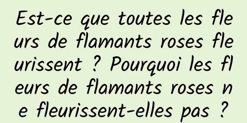 Est-ce que toutes les fleurs de flamants roses fleurissent ? Pourquoi les fleurs de flamants roses ne fleurissent-elles pas ?