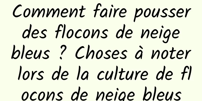 Comment faire pousser des flocons de neige bleus ? Choses à noter lors de la culture de flocons de neige bleus