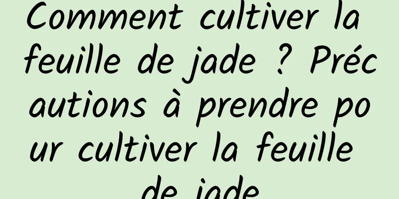 Comment cultiver la feuille de jade ? Précautions à prendre pour cultiver la feuille de jade