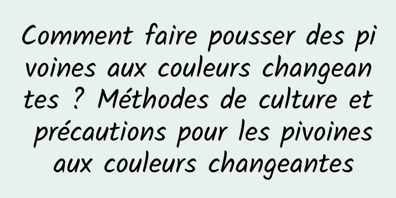 Comment faire pousser des pivoines aux couleurs changeantes ? Méthodes de culture et précautions pour les pivoines aux couleurs changeantes