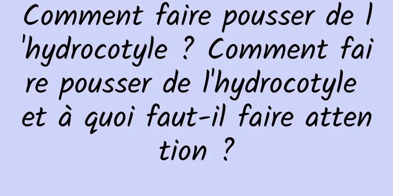 Comment faire pousser de l'hydrocotyle ? Comment faire pousser de l'hydrocotyle et à quoi faut-il faire attention ?