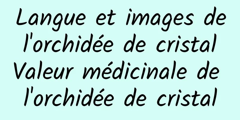 Langue et images de l'orchidée de cristal Valeur médicinale de l'orchidée de cristal