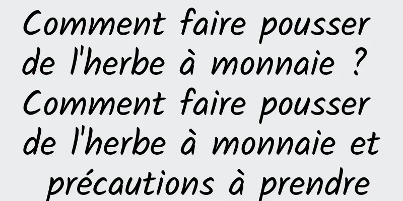 Comment faire pousser de l'herbe à monnaie ? Comment faire pousser de l'herbe à monnaie et précautions à prendre