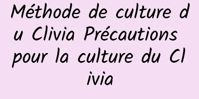 Méthode de culture du Clivia Précautions pour la culture du Clivia