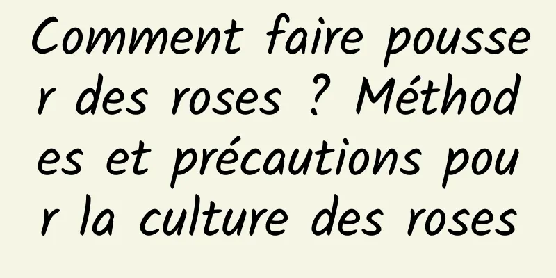 Comment faire pousser des roses ? Méthodes et précautions pour la culture des roses