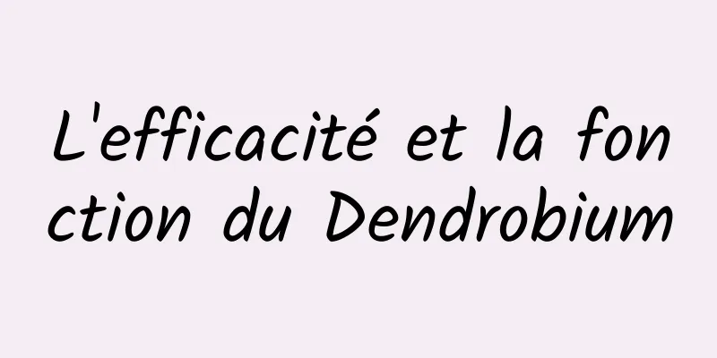 L'efficacité et la fonction du Dendrobium