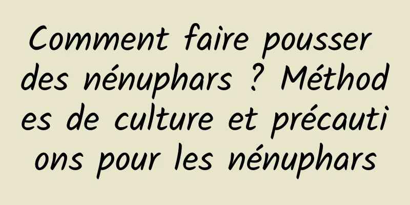 Comment faire pousser des nénuphars ? Méthodes de culture et précautions pour les nénuphars