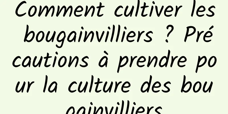 Comment cultiver les bougainvilliers ? Précautions à prendre pour la culture des bougainvilliers