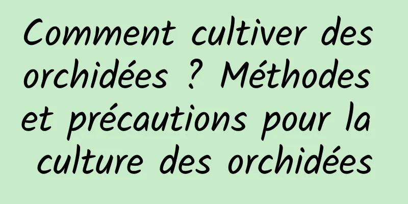 Comment cultiver des orchidées ? Méthodes et précautions pour la culture des orchidées