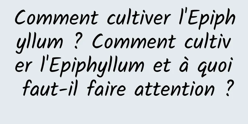 Comment cultiver l'Epiphyllum ? Comment cultiver l'Epiphyllum et à quoi faut-il faire attention ?