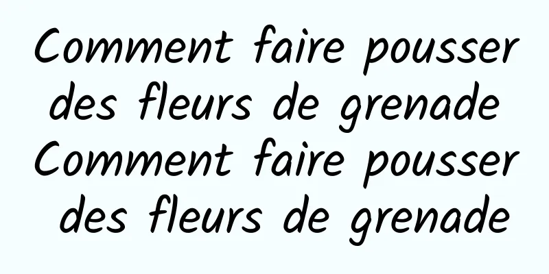 Comment faire pousser des fleurs de grenade Comment faire pousser des fleurs de grenade