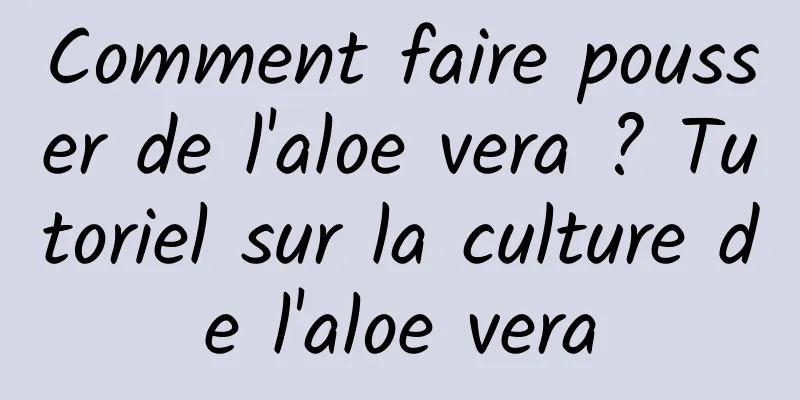 Comment faire pousser de l'aloe vera ? Tutoriel sur la culture de l'aloe vera