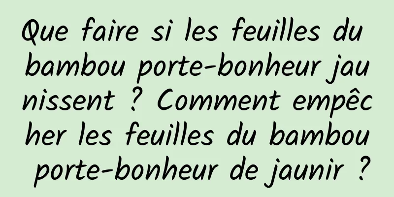 Que faire si les feuilles du bambou porte-bonheur jaunissent ? Comment empêcher les feuilles du bambou porte-bonheur de jaunir ?