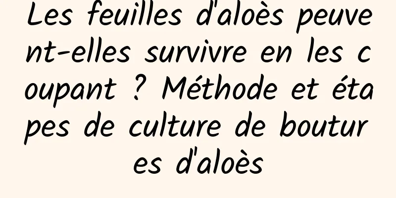 Les feuilles d'aloès peuvent-elles survivre en les coupant ? Méthode et étapes de culture de boutures d'aloès