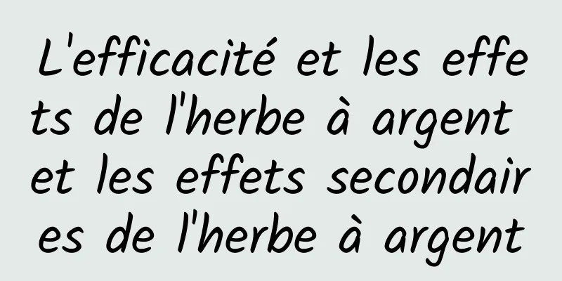 L'efficacité et les effets de l'herbe à argent et les effets secondaires de l'herbe à argent