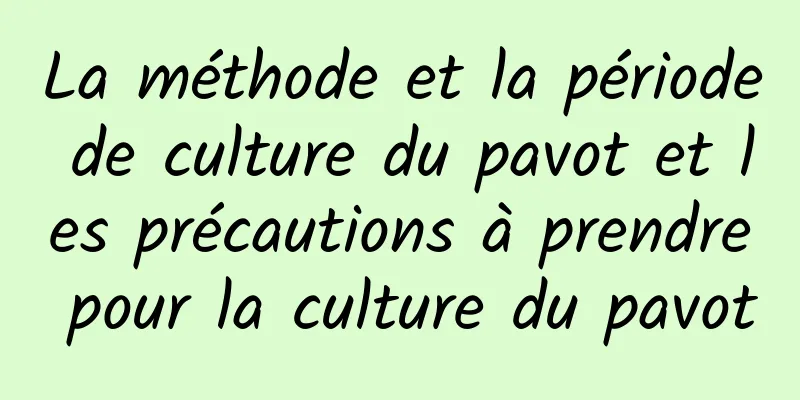 La méthode et la période de culture du pavot et les précautions à prendre pour la culture du pavot