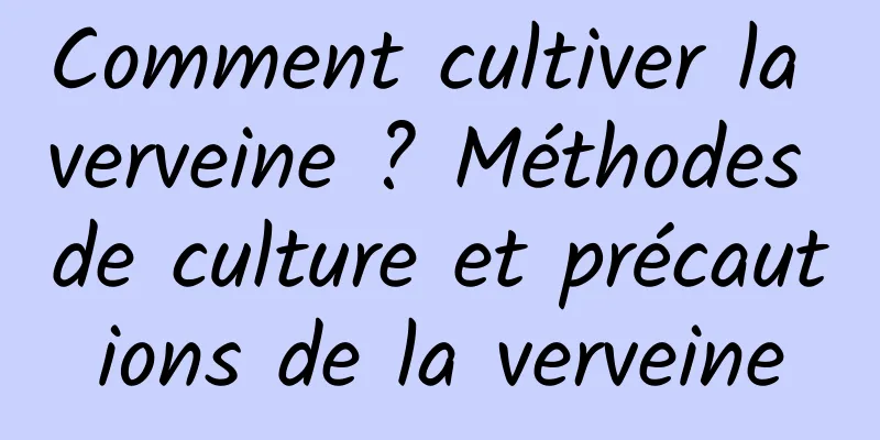 Comment cultiver la verveine ? Méthodes de culture et précautions de la verveine