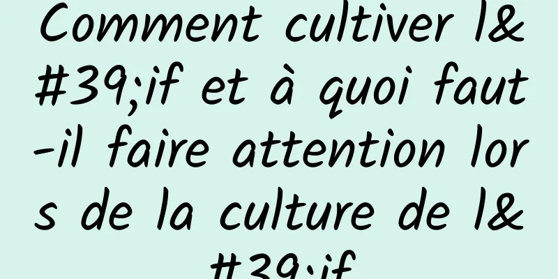 Comment cultiver l'if et à quoi faut-il faire attention lors de la culture de l'if