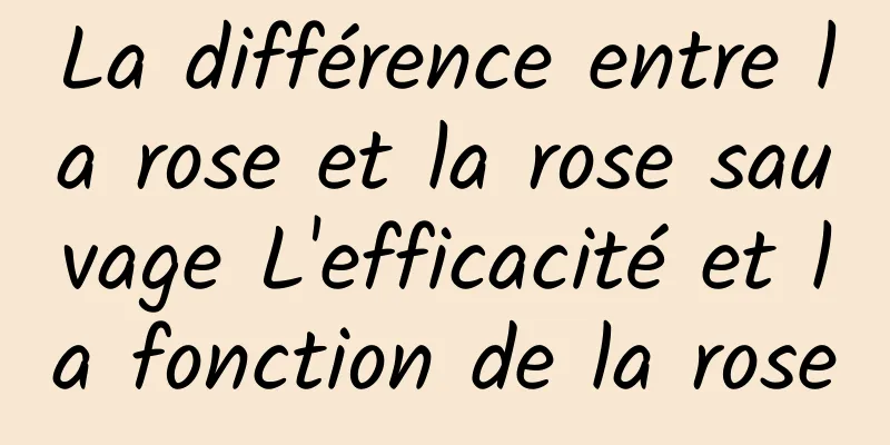 La différence entre la rose et la rose sauvage L'efficacité et la fonction de la rose