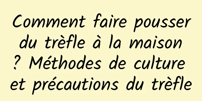 Comment faire pousser du trèfle à la maison ? Méthodes de culture et précautions du trèfle