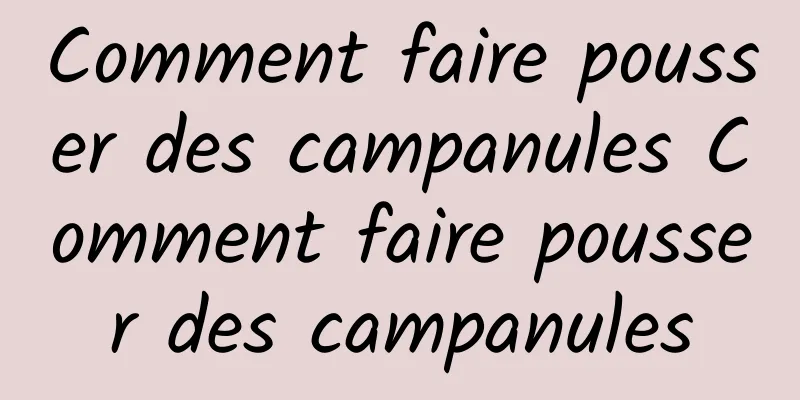 Comment faire pousser des campanules Comment faire pousser des campanules