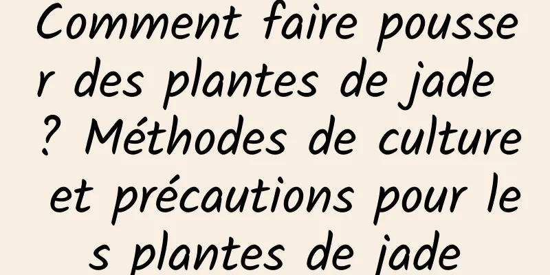 Comment faire pousser des plantes de jade ? Méthodes de culture et précautions pour les plantes de jade