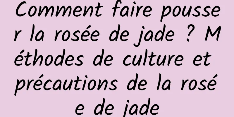 Comment faire pousser la rosée de jade ? Méthodes de culture et précautions de la rosée de jade