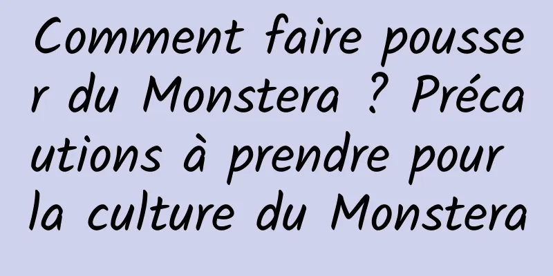 Comment faire pousser du Monstera ? Précautions à prendre pour la culture du Monstera