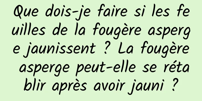 Que dois-je faire si les feuilles de la fougère asperge jaunissent ? La fougère asperge peut-elle se rétablir après avoir jauni ?