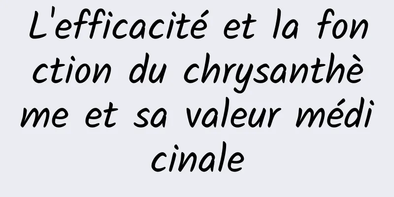 L'efficacité et la fonction du chrysanthème et sa valeur médicinale