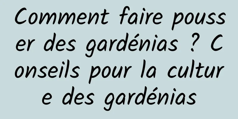 Comment faire pousser des gardénias ? Conseils pour la culture des gardénias