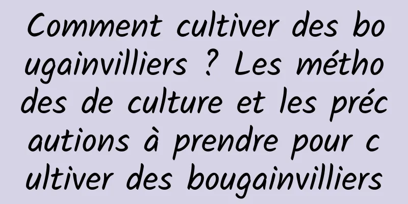 Comment cultiver des bougainvilliers ? Les méthodes de culture et les précautions à prendre pour cultiver des bougainvilliers